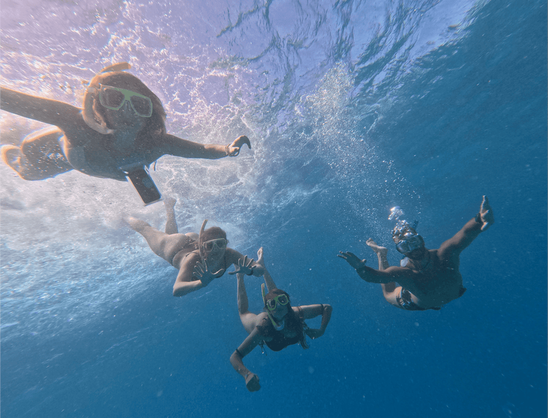 redSEA wild Dolphin Tour - Hakuna Matata Tours