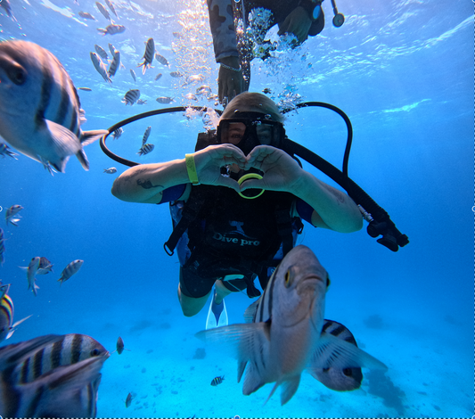 redSEA Discovery Tour - Snorkel & Diving Trip