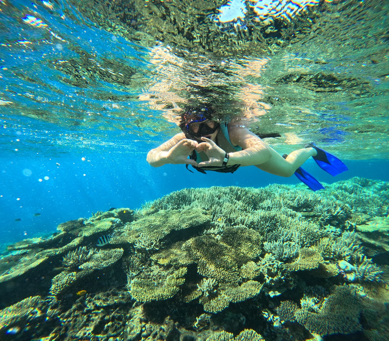 VIP Orange Bay Island Cruise Experience with Breakfast, Lunch & Soft Drinks