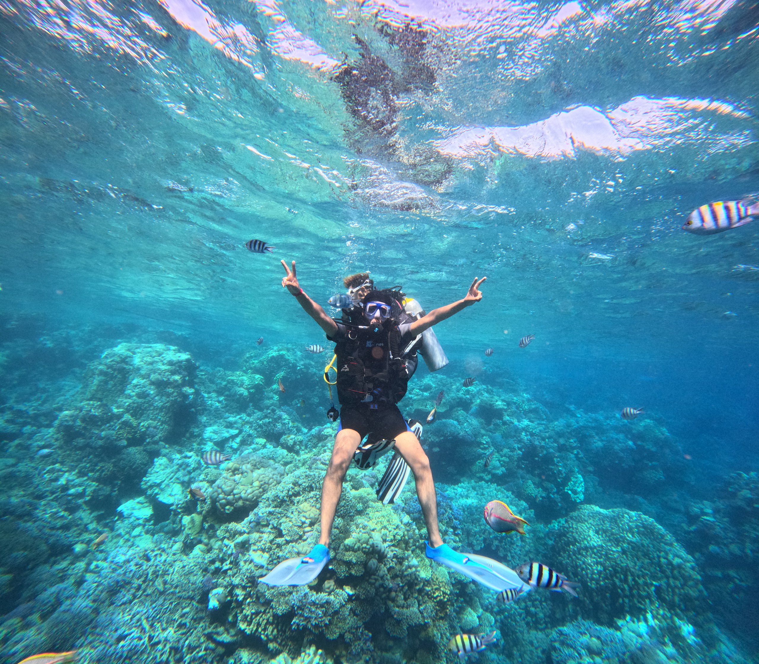 Premium Diving Experience for Beginners in the Red Sea with Lunch & Soft Drinks