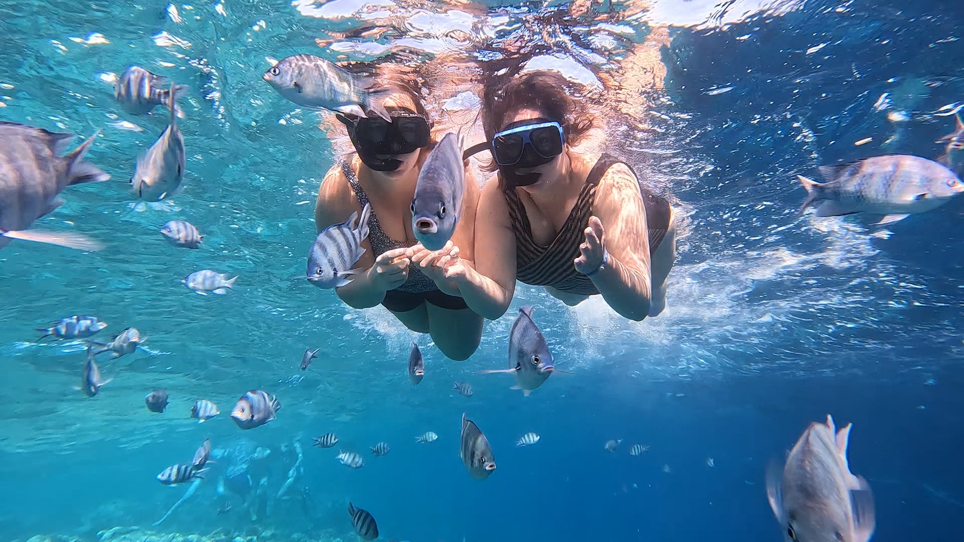Hurghada: Hula Hula Cruise with Lunch, & Snorkeling